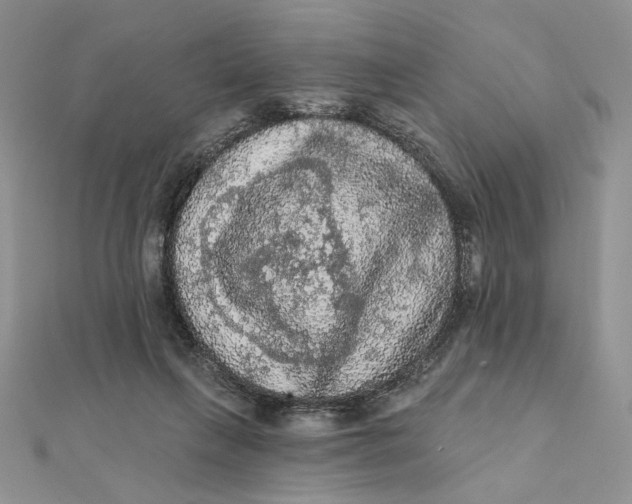 X0000112350263200909031855