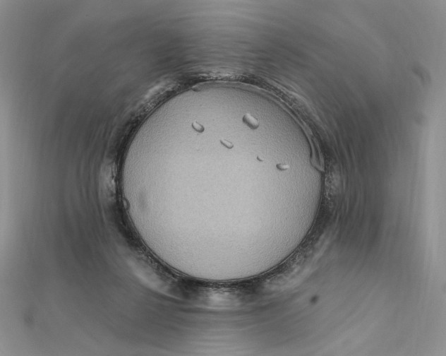 X0000112350264200909031855