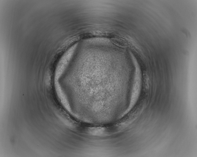 X0000112350266200909031855