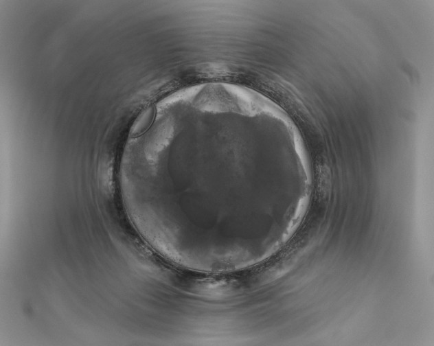 X0000112350267200909031855