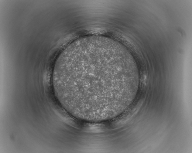 X0000112350268200909031855