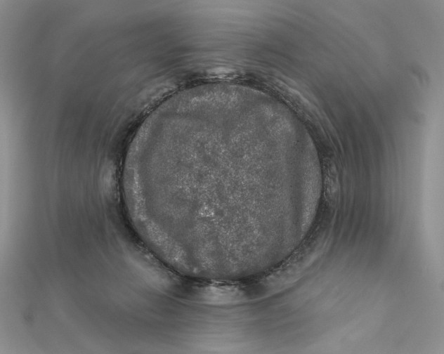 X0000112350270200909031855