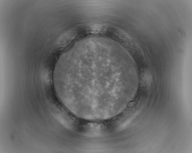 X0000112350272200909031855