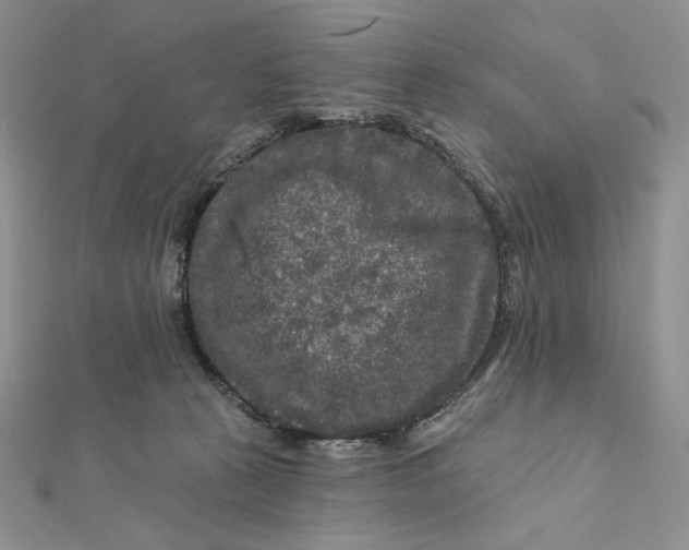 X0000112350273200909031855