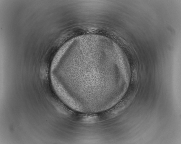 X0000112350274200909031855