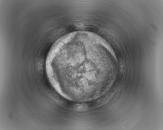 X0000112350275200909031855