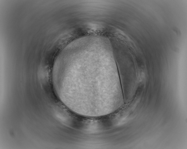 X0000112350276200909031855