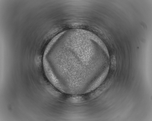 X0000112350278200909031855