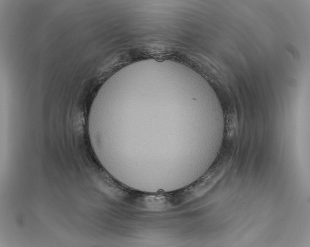 X0000112350279200909031855