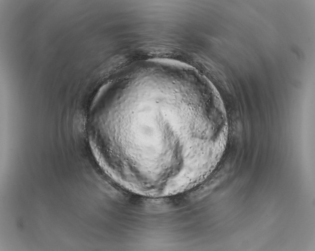 X0000112350281200909031855