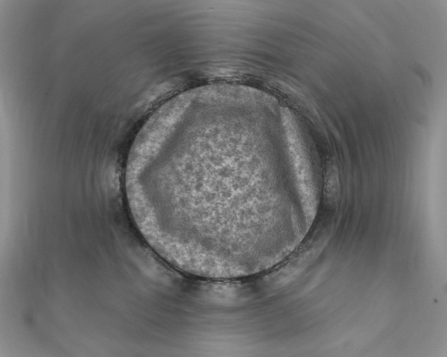 X0000112350282200909031855