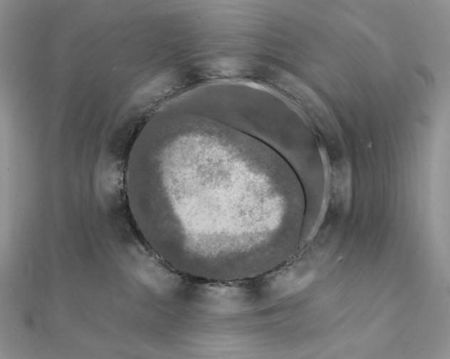 X0000112350284200909031855