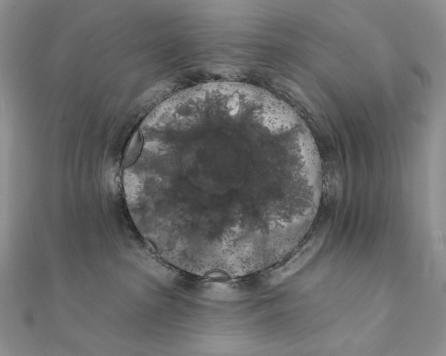 X0000112350285200909031855