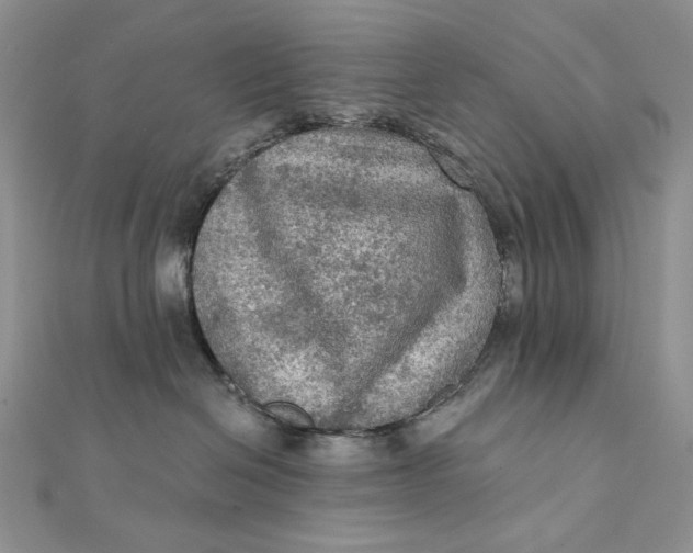 X0000112350286200909031856