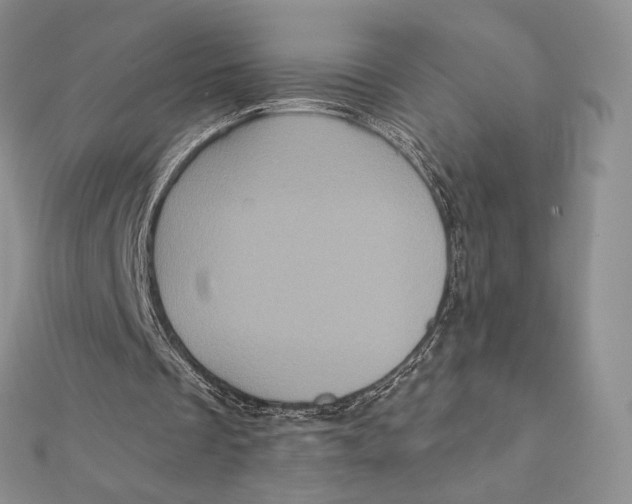 X0000112350289200909031855