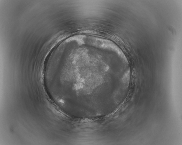 X0000112350290200909031855