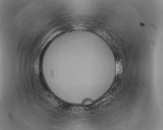 X0000112350291200909031855