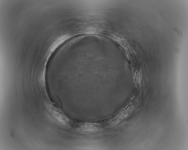 X0000112350292200909031855