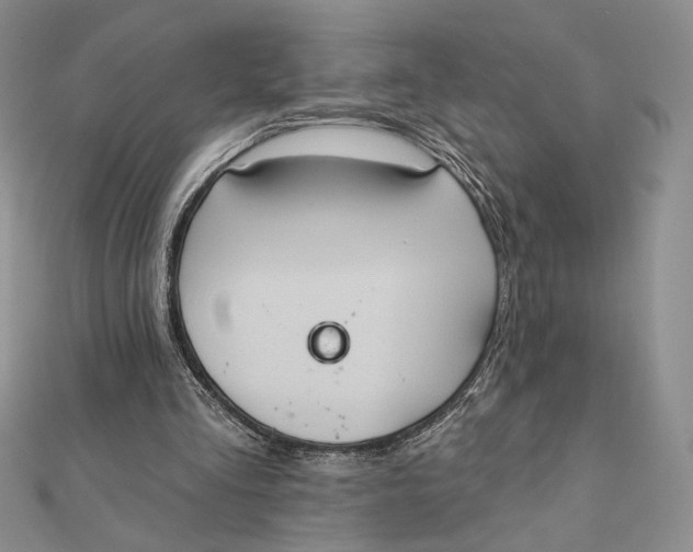 X0000112350293200909031855