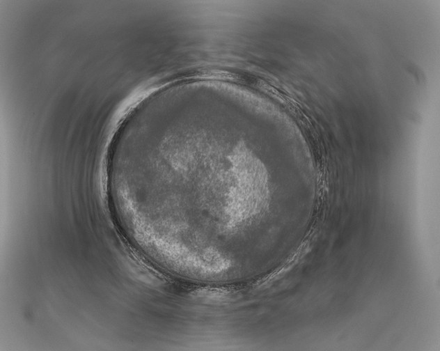 X0000112350294200909031855