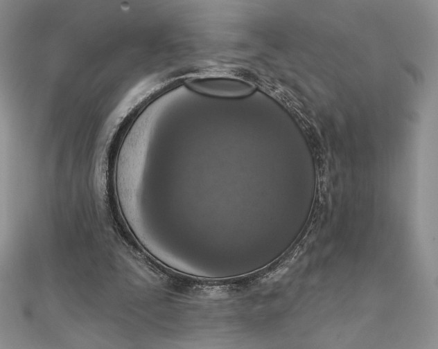 X0000112350295200909031855