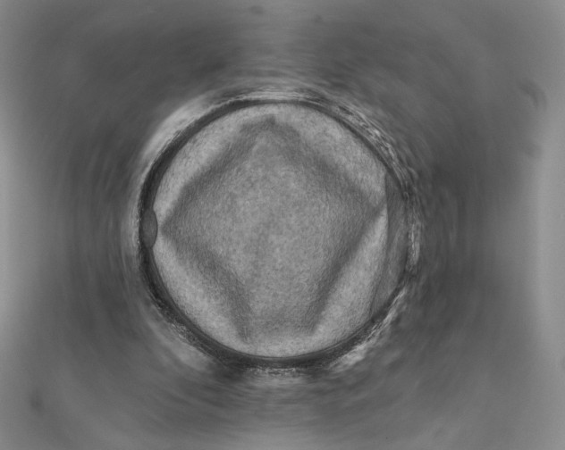 X0000112350296200909031855