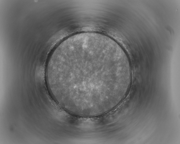 X0000112350297200909031855