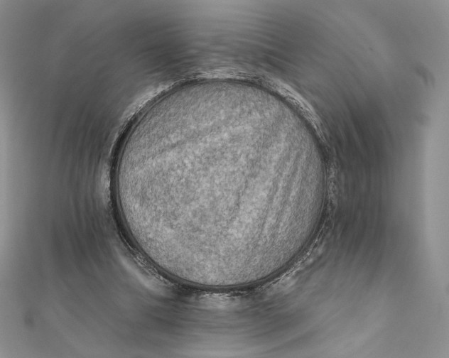 X0000112350298200909031855