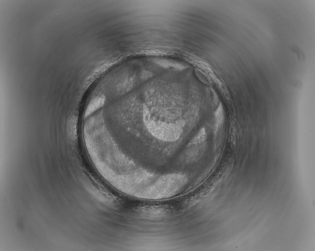 X0000112350299200909031855