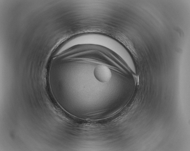 X0000112350300200909031855