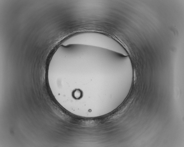 X0000112350301200909031855