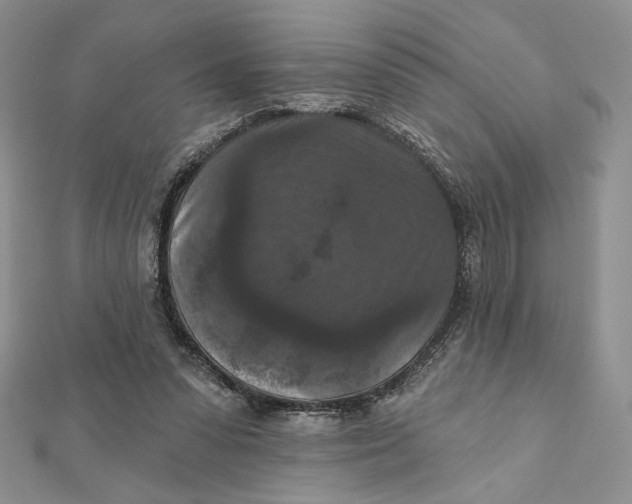 X0000112350303200909031855