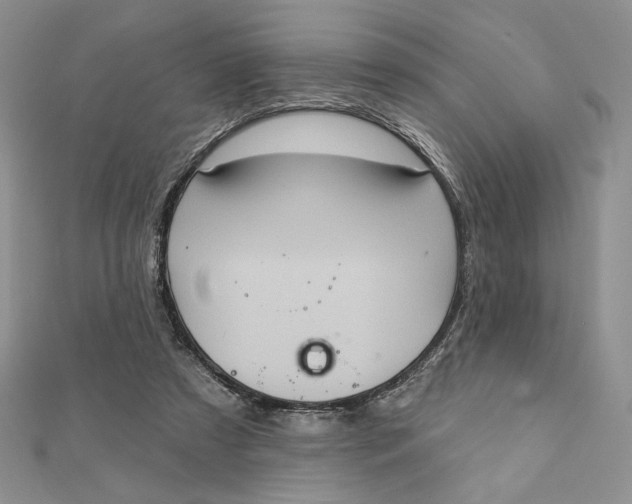 X0000112350305200909031855