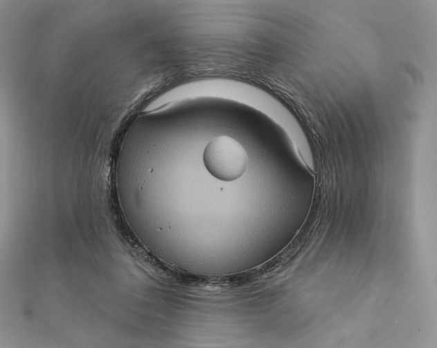 X0000112350308200909031855