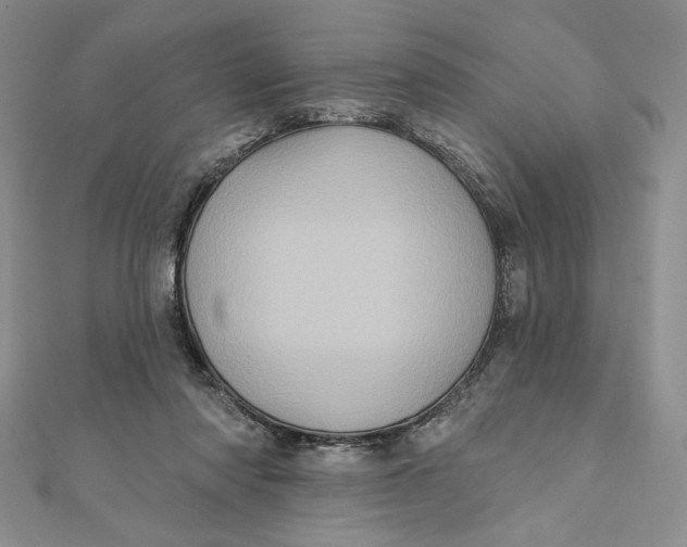 X0000112350310200909031855