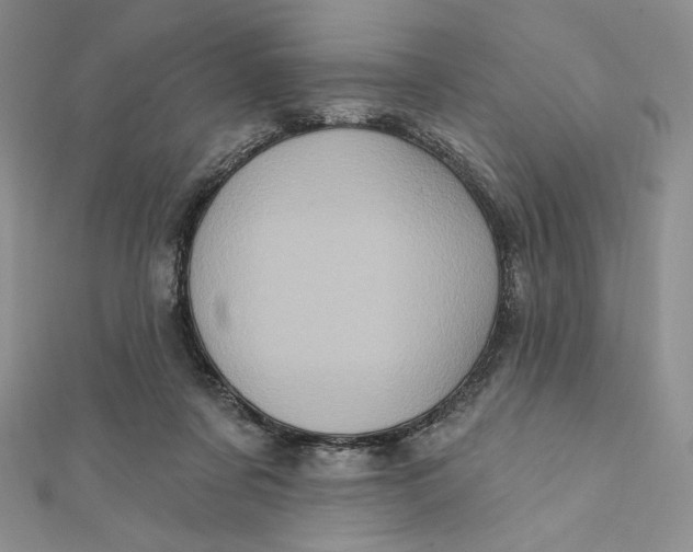 X0000112350311200909031855