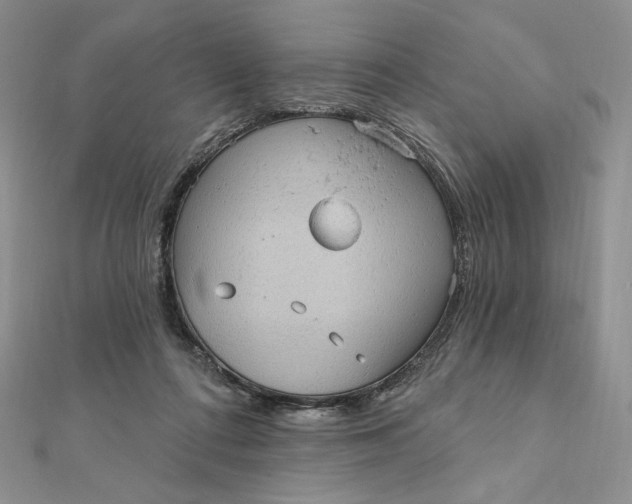 X0000112350312200909031855