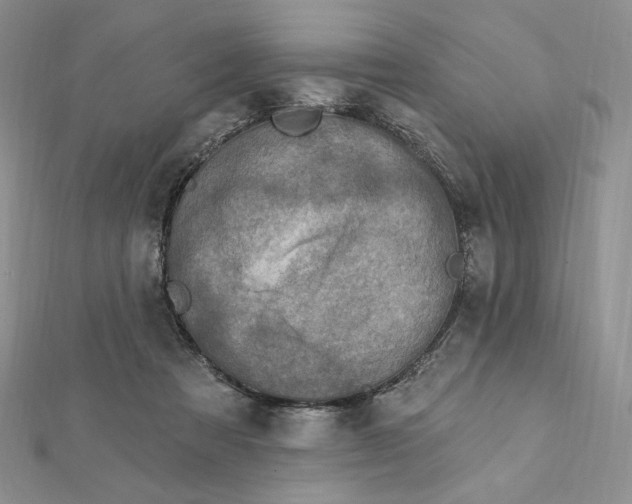 X0000112350313200909031855