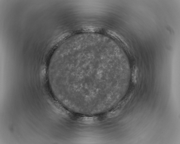 X0000112350314200909031855