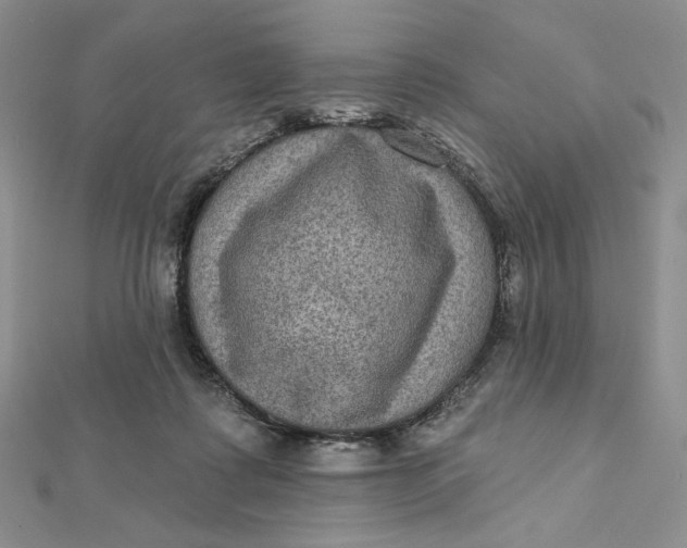 X0000112350315200909031855