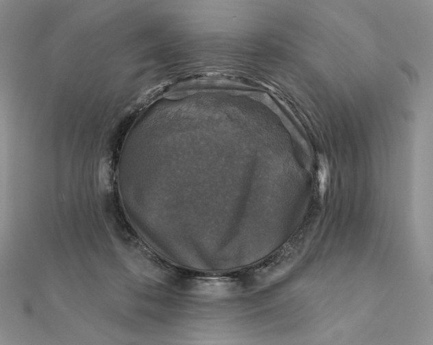 X0000112350316200909031855