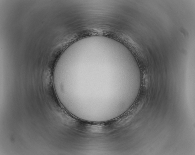 X0000112350318200909031855