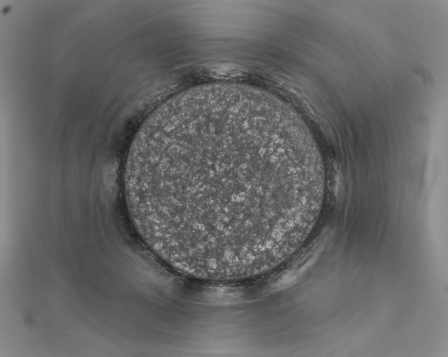 X0000112350319200909031855