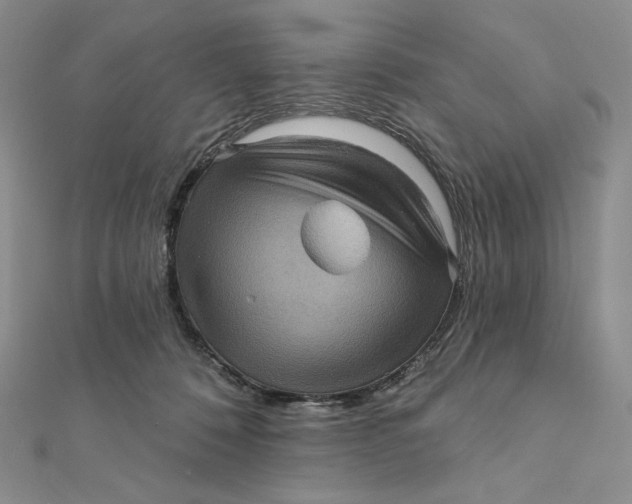 X0000112350320200909031855