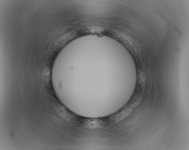 X0000112350321200909031855