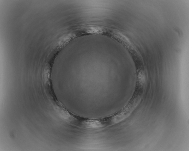 X0000112350322200909031854