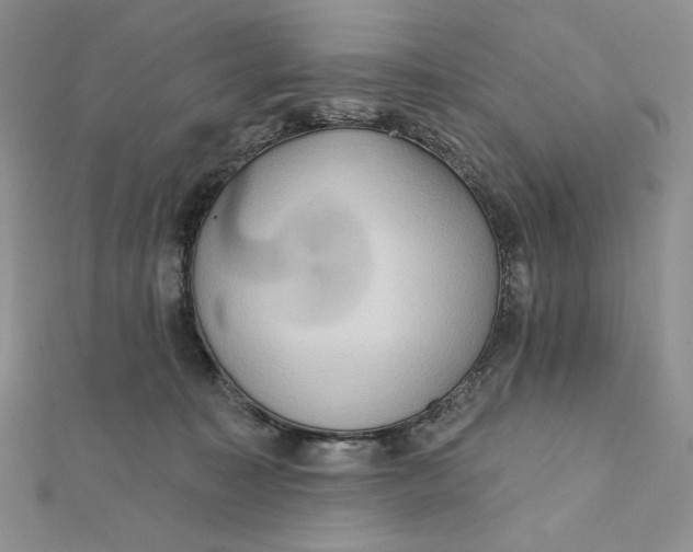 X0000112350323200909031854