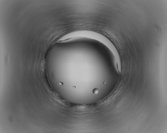 X0000112350325200909031854