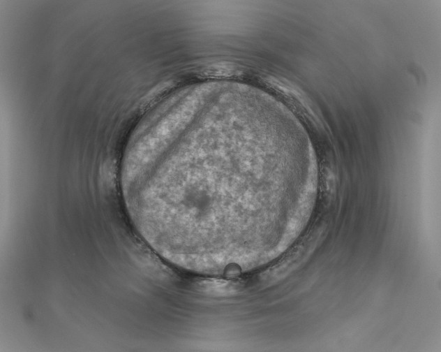 X0000112350326200909031854