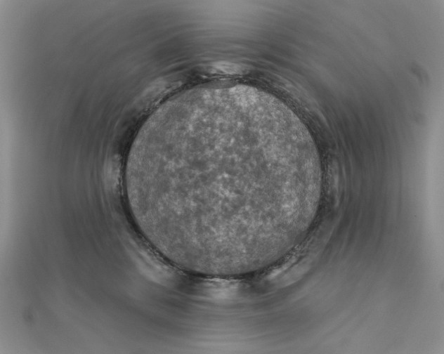 X0000112350328200909031854